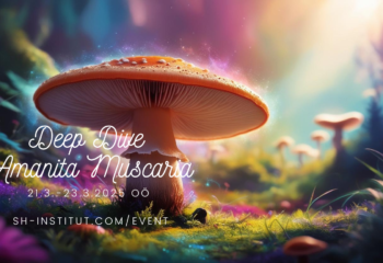 Deep Dive Amanita Muscaria-2