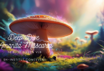 Deep Dive Amanita Muscaria_VLB