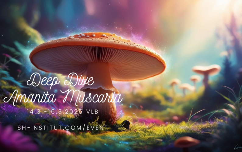 Deep Dive Amanita Muscaria_VLB