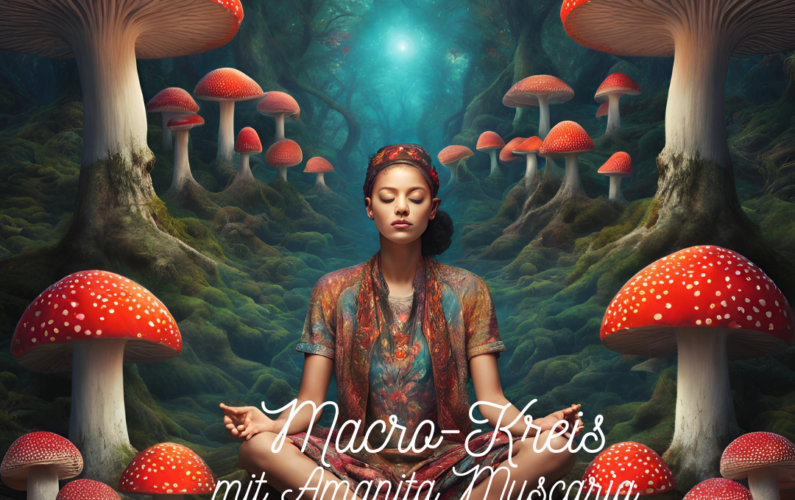 MacrokreisOÖ