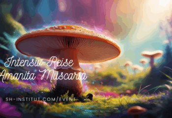 Amanita Neutral